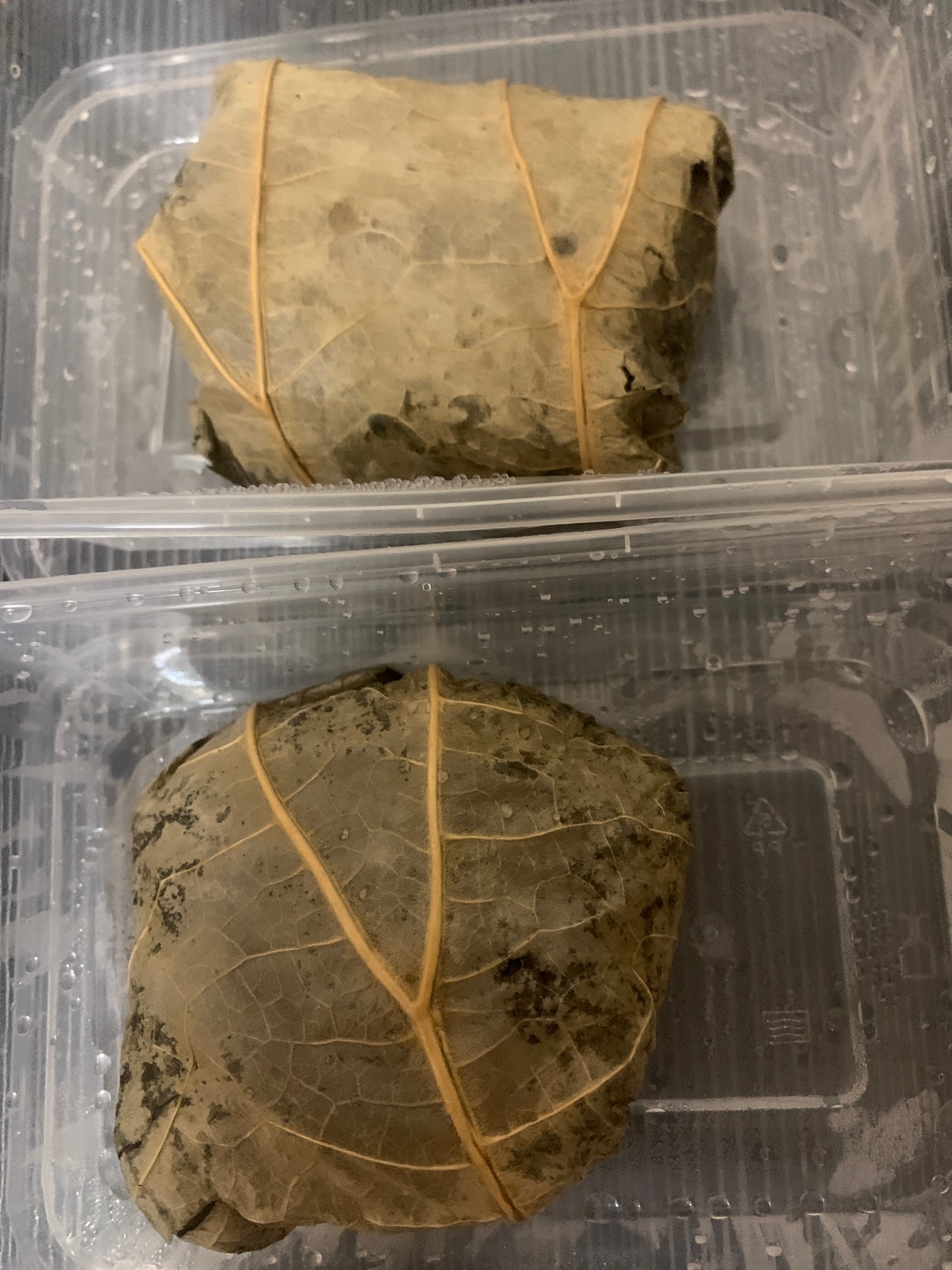 感谢小美 也是吃上了


64 / 作者:小鬼是魔鬼 / 