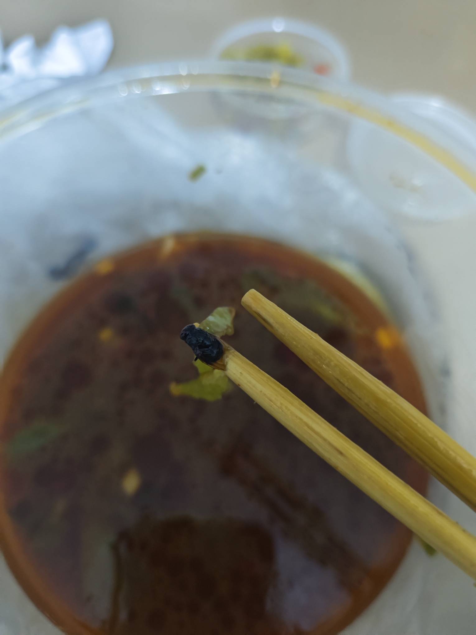 京东外卖吃到了颗苍蝇，第一次碰到


48 / 作者:狂躁的小灰灰 / 