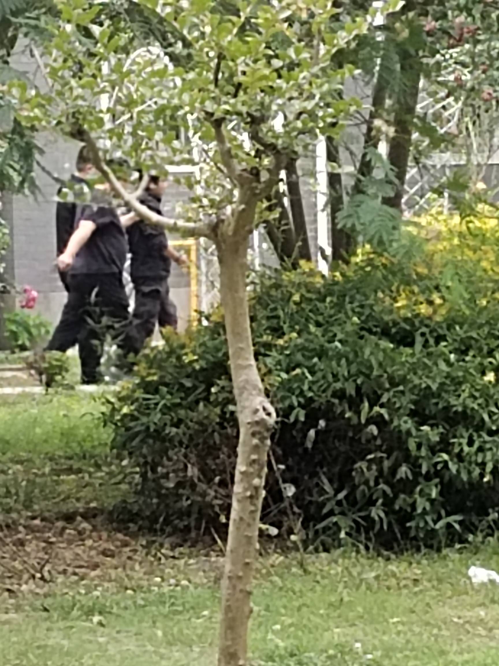 刚在小区看到一个挂壁仔被两个帽子抓走了，标准挂壁相，肯定是帮信跑分啥的


31 / 作者:不为谁停留 / 