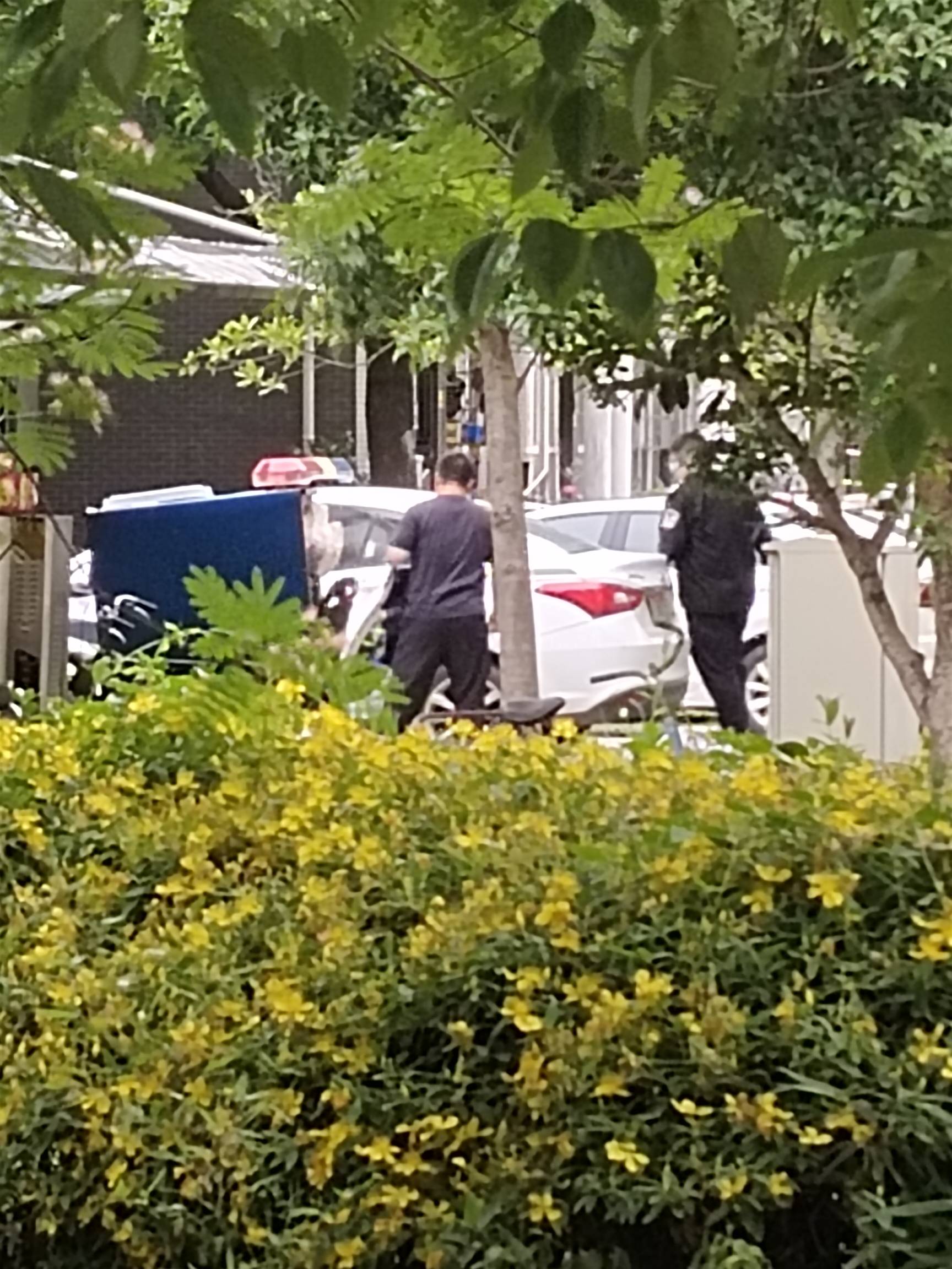 刚在小区看到一个挂壁仔被两个帽子抓走了，标准挂壁相，肯定是帮信跑分啥的


93 / 作者:不为谁停留 / 