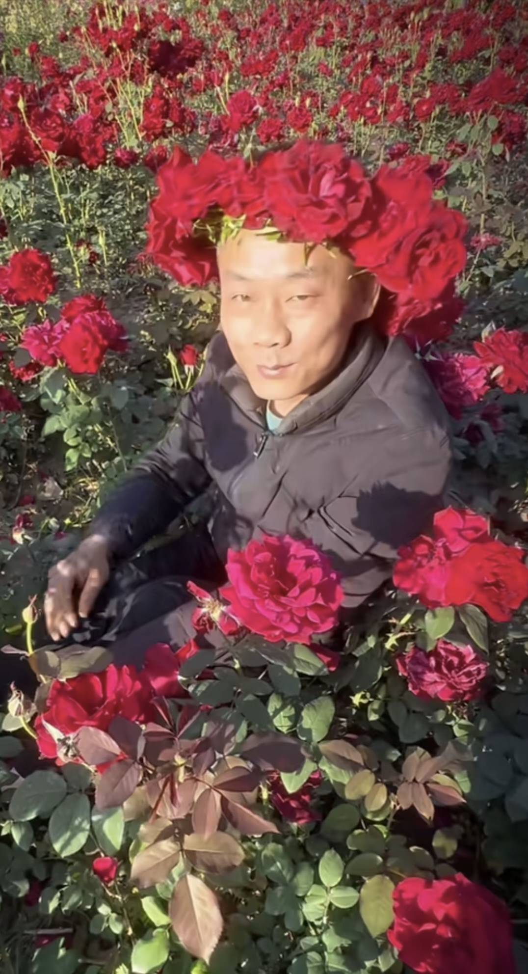 超级链接找回来了有收超级币的老哥速度联系我

97 / 作者:卡农高育良 / 
