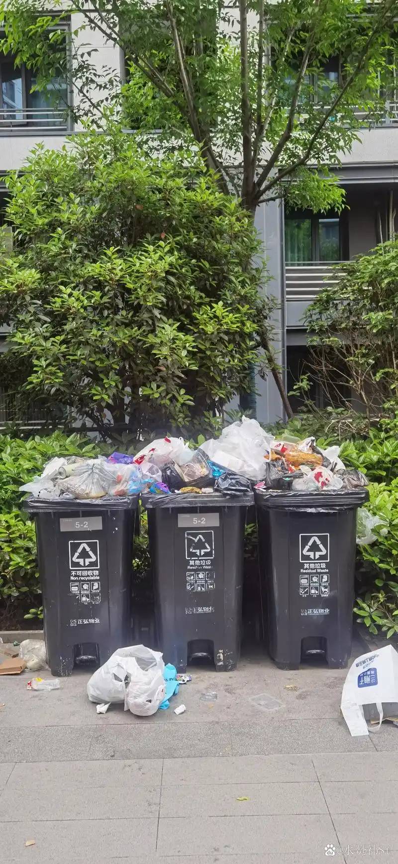 今天卡农氛围真好，一大早看见挂壁仔们纷纷开始发表哲学道理，受益匪浅啊，不说了，我13 / 作者:不予x / 