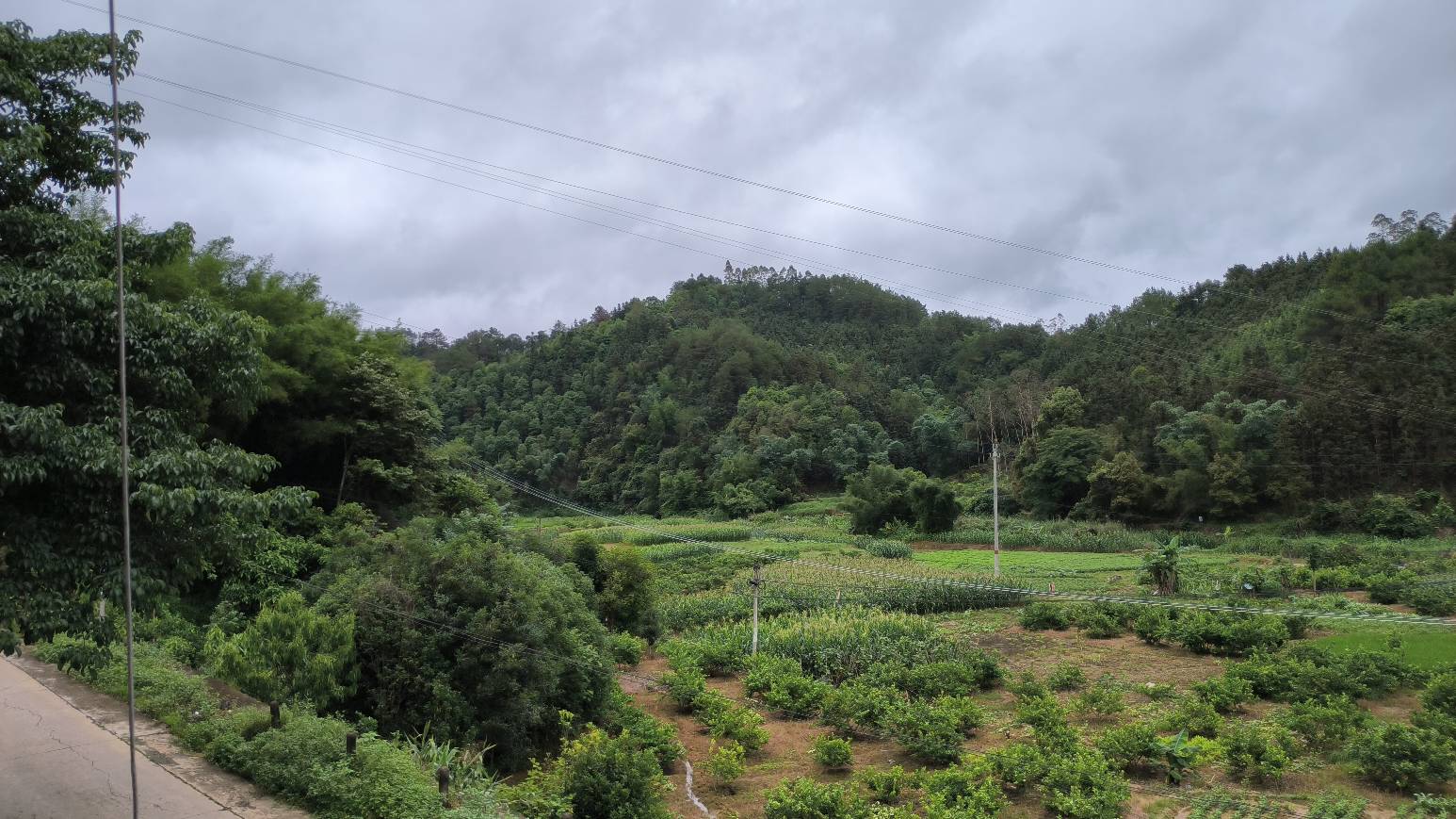 还是山卡拉好呀，就是天天下雨有点烦


13 / 作者:xxxgl / 