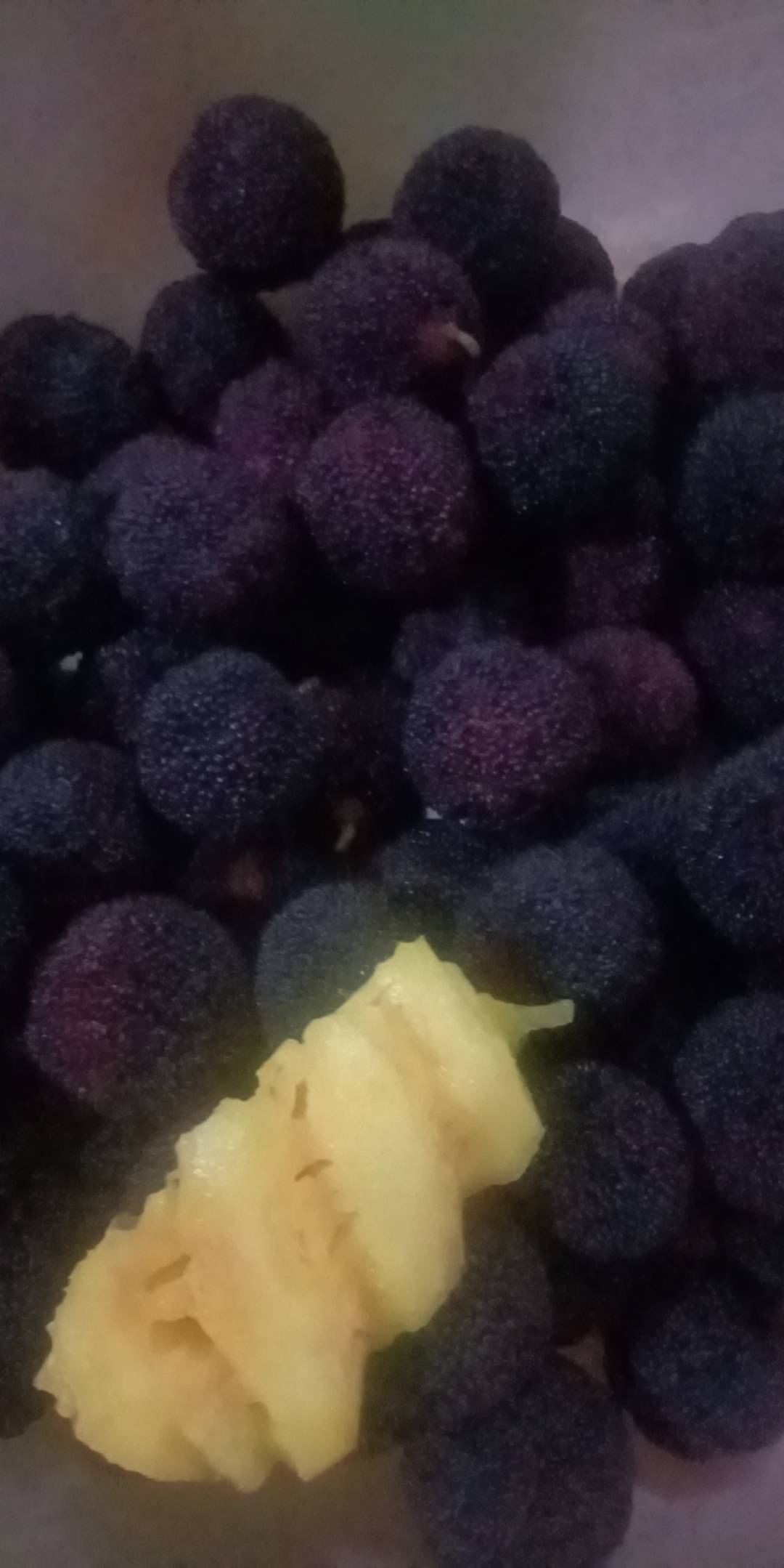 挂壁仔回家了就是不一样

20 / 作者:福建挂壁老哥喔 / 