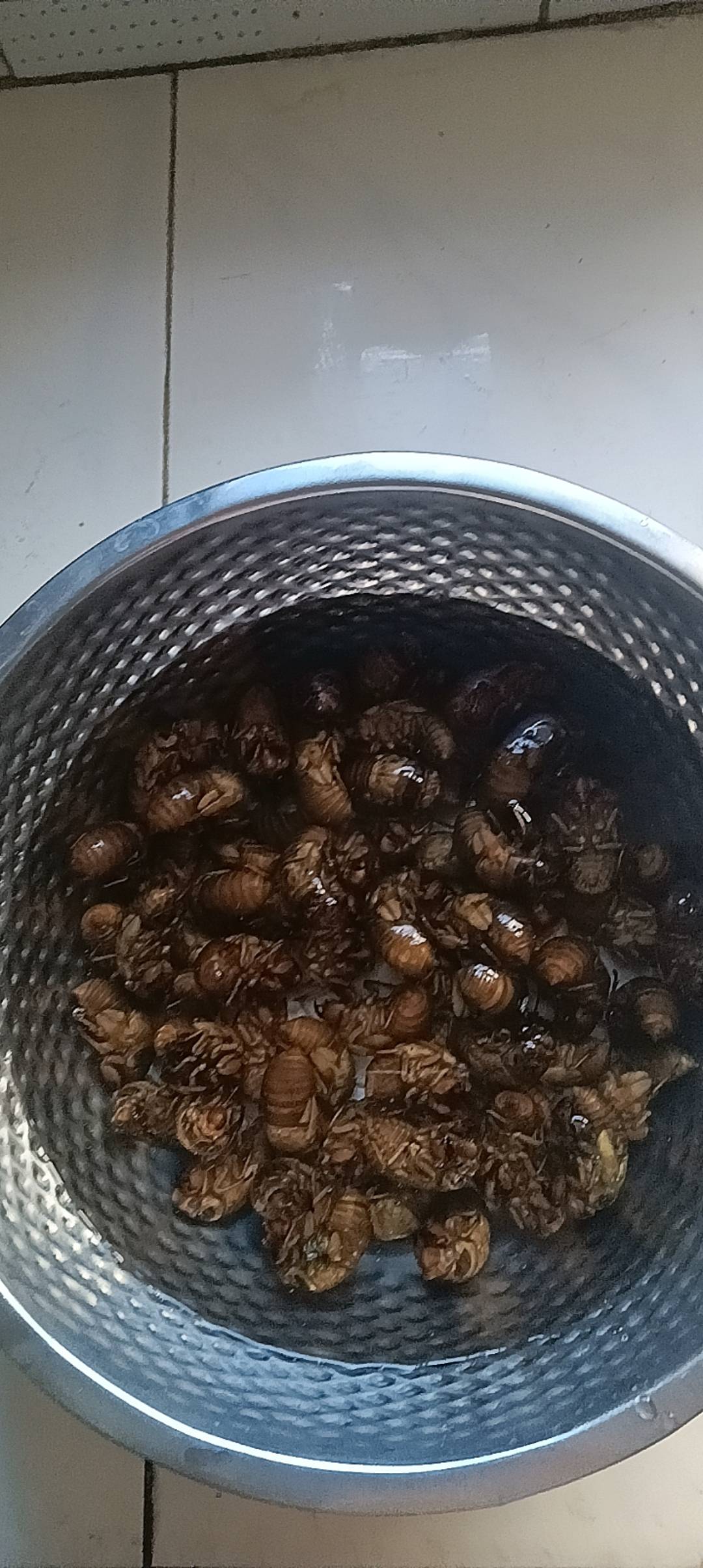 老哥们，开始准备晚饭了

69 / 作者:江苏第一深情 / 