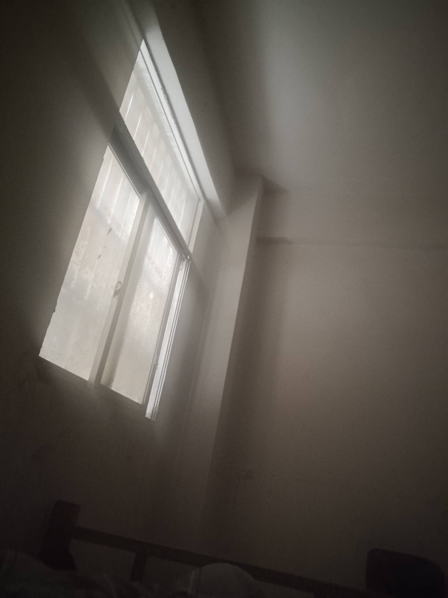有没有广州太和的老哥带我干日结 过两天要交房租了 头大

45 / 作者:水里游啊游 / 