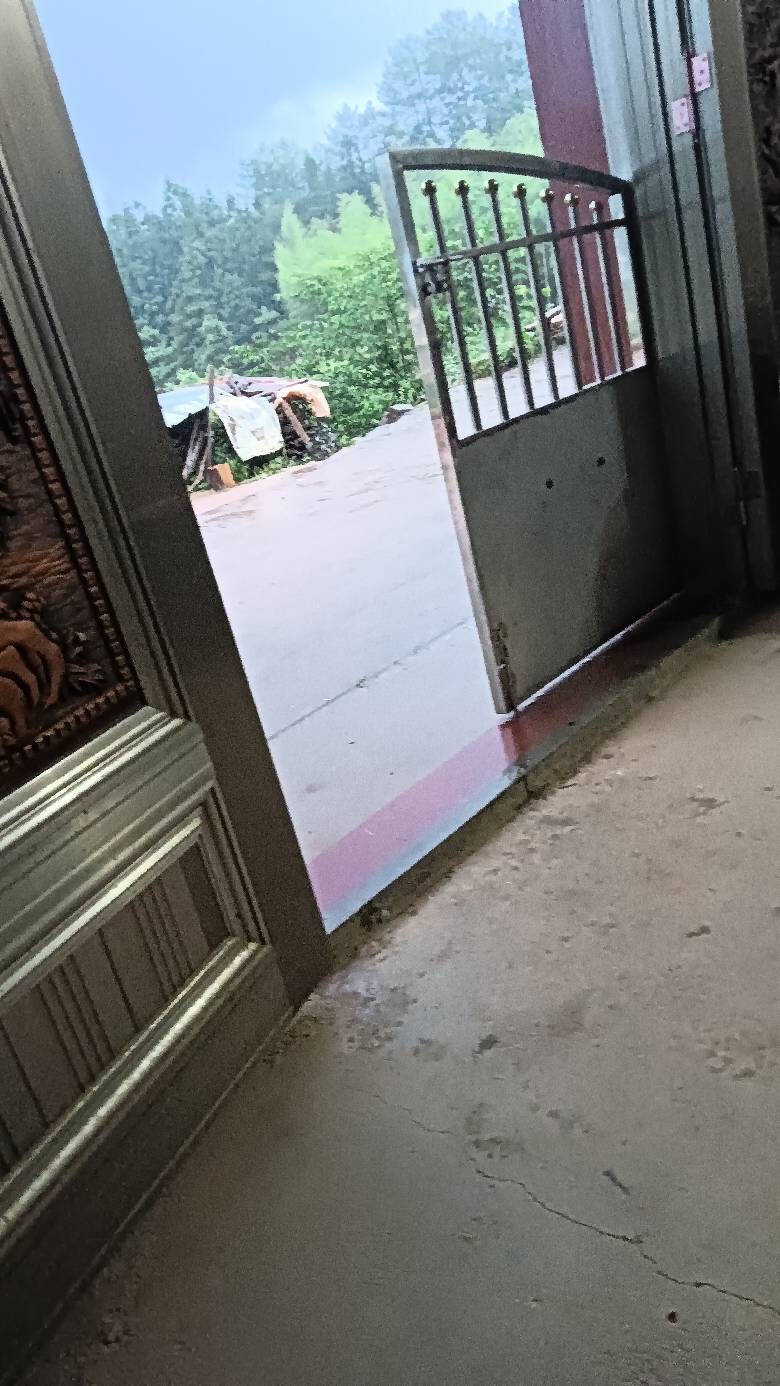 老哥们，要下大暴雨了啊

31 / 作者:福建牛德华 / 