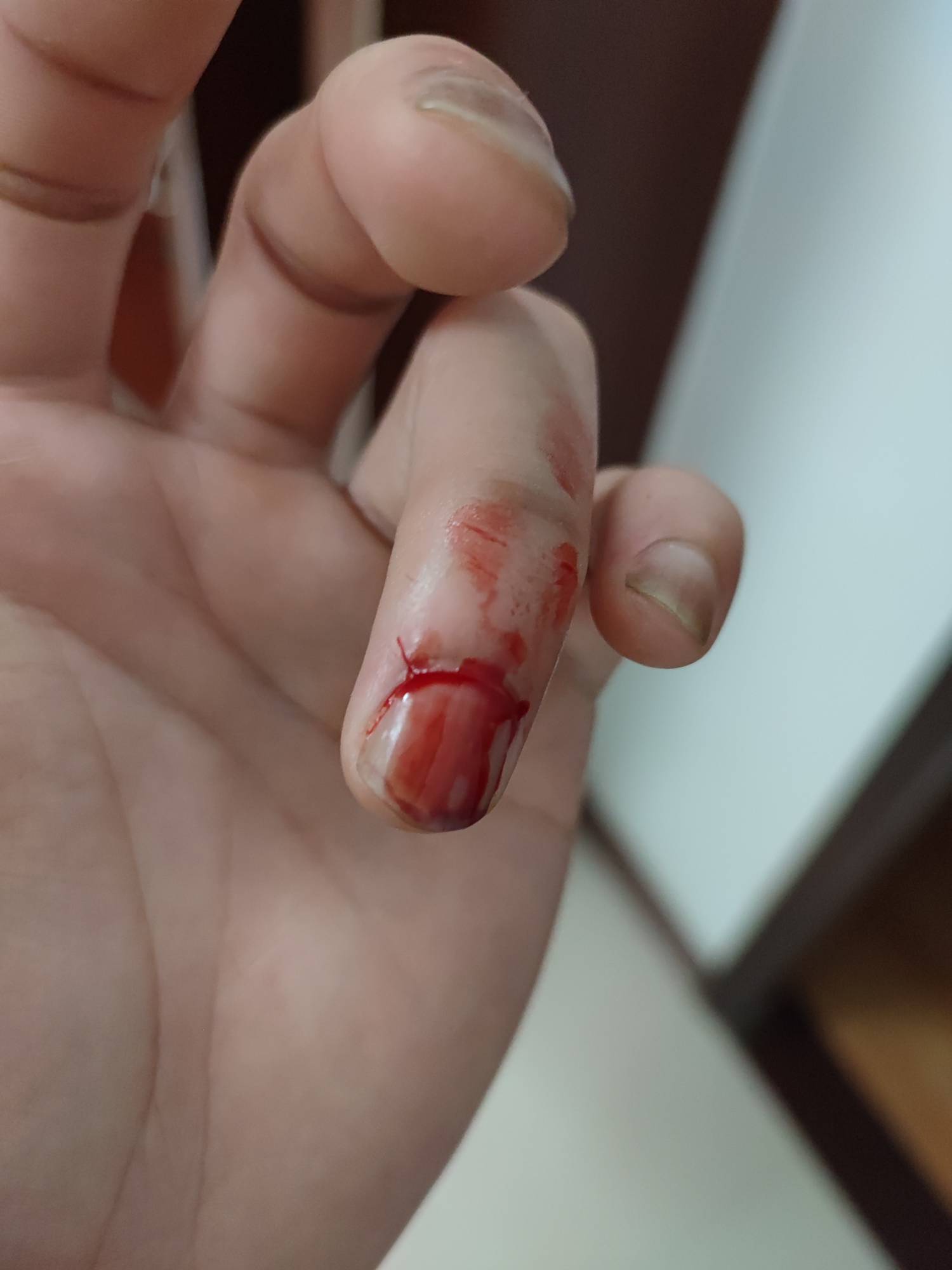 真锋利



55 / 作者:我的大满 / 