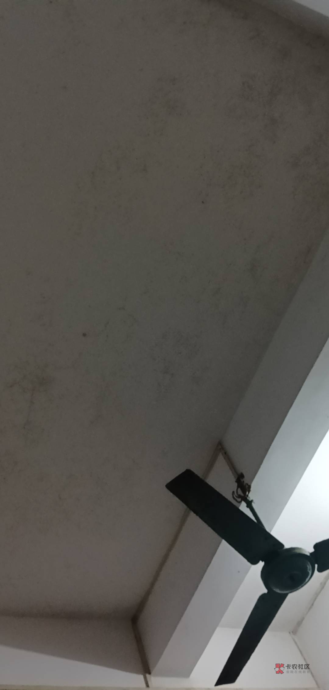 月底换房子算了,去找个便宜的不能住在这个地方,恶心的要死,隔壁那个女的老太婆是在35 / 作者:斗篷 / 月底换房子算了,去找个便宜的不能住在这个地方,恶心的要死,隔壁那个女的老太婆是在35 / 作者:斗篷 /