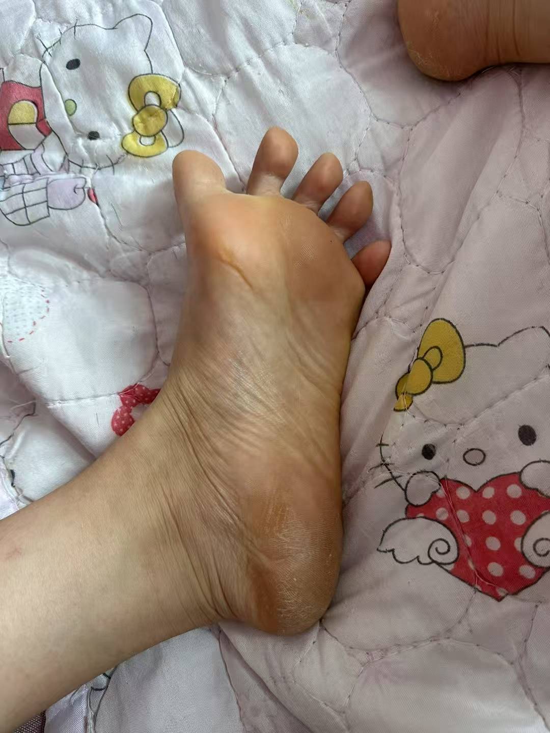猪脚饭不是挂壁仔吃的吗，我那个朋友那么有钱的一比，为啥说猪脚饭好吃，还说请我吃，69 / 作者:想你的夜jshs / 