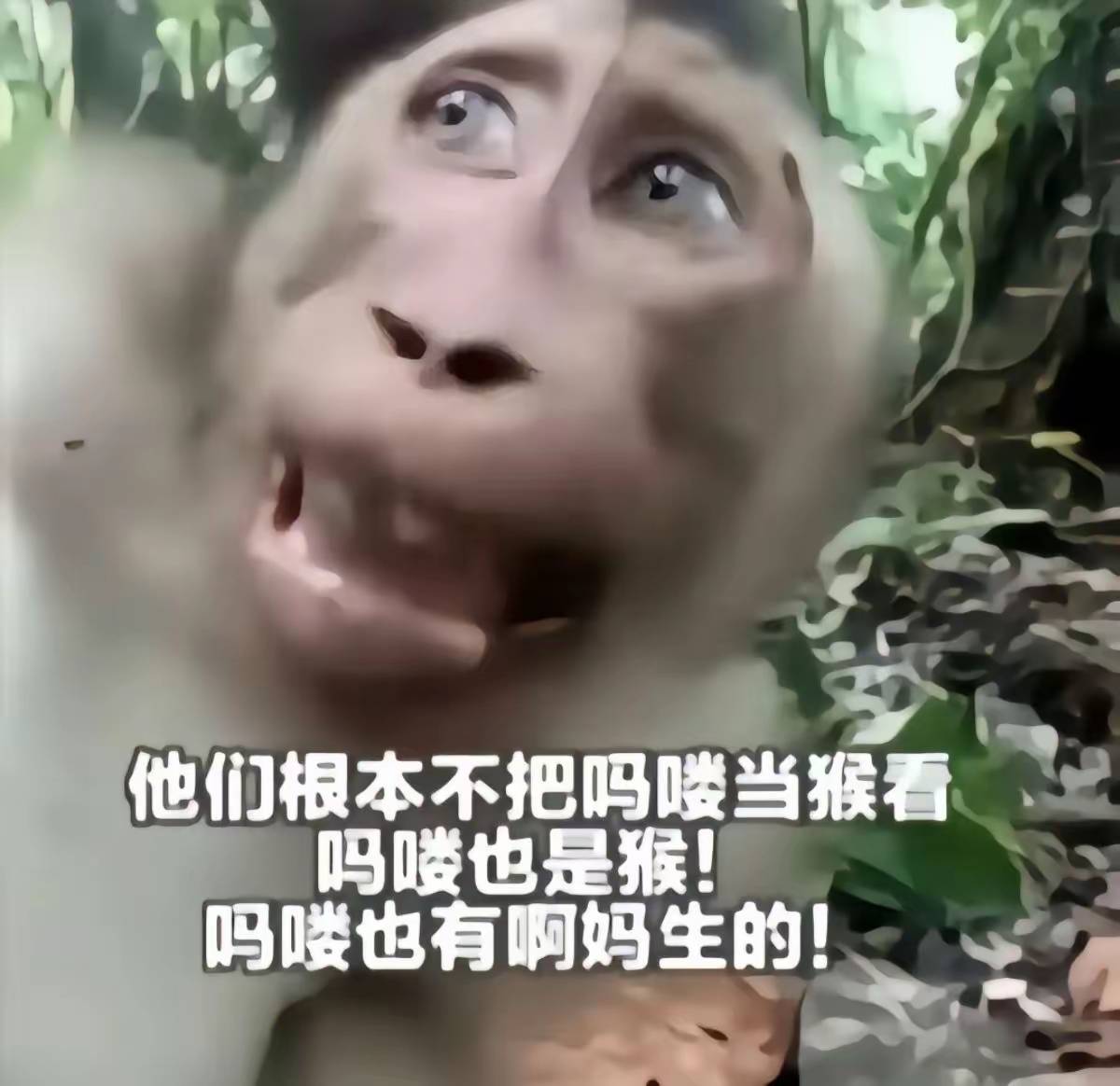 三角洲18到30级昨晚10点打到现在挣40毛，累哭了

33 / 作者:拜托了夫人 / 