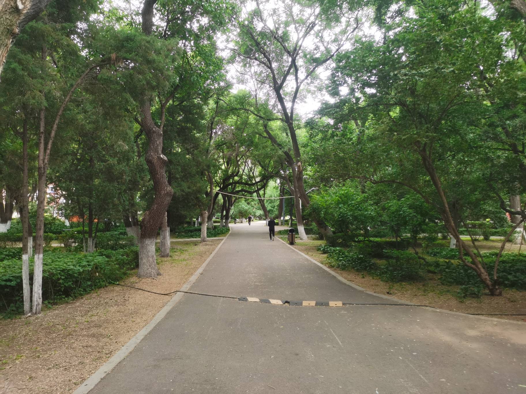 季毛没有，瘫痪公园

57 / 作者:番茄炒土豆 / 