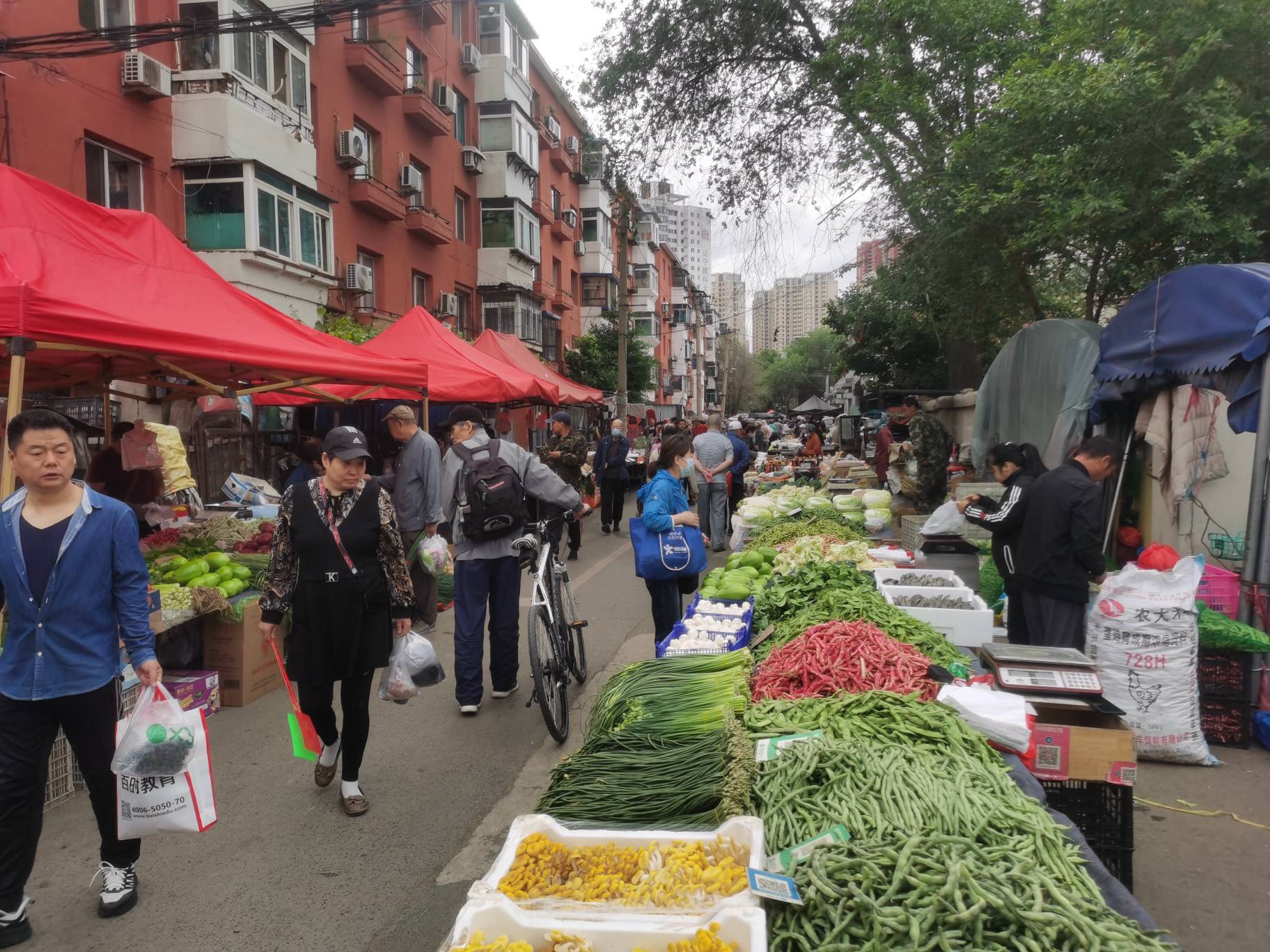 早市的东西是真便宜啊，天气也凉爽


39 / 作者:番茄炒土豆 / 