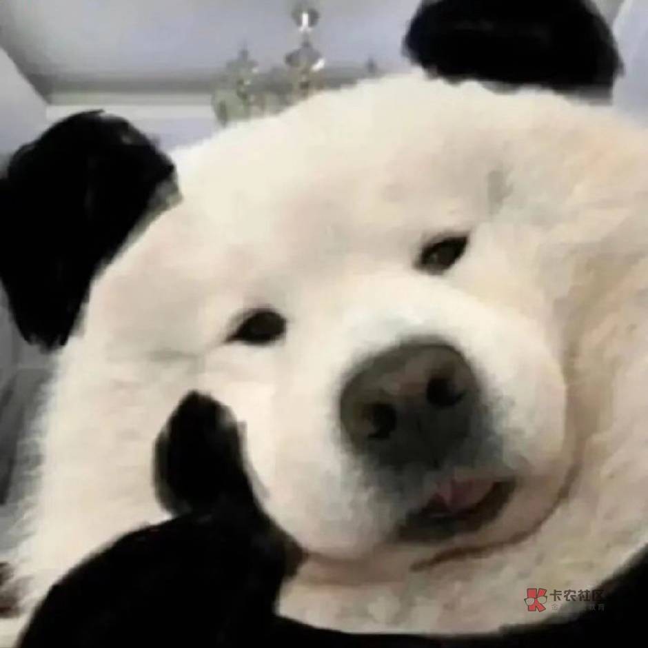 老哥们，就是你生日的话，有几个八十多岁的老爷子要过来给你磕头祝寿，我的辈分比他们96 / 作者:不予x / 