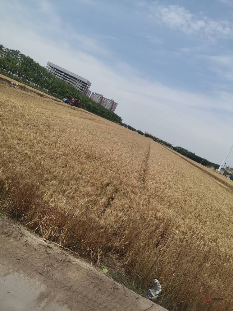 5年了，当时9x发布会后D打所有友商，小麦卖了以后换机，就是前置摄像头坏了，后置人脸68 / 作者:你我已入账 / 