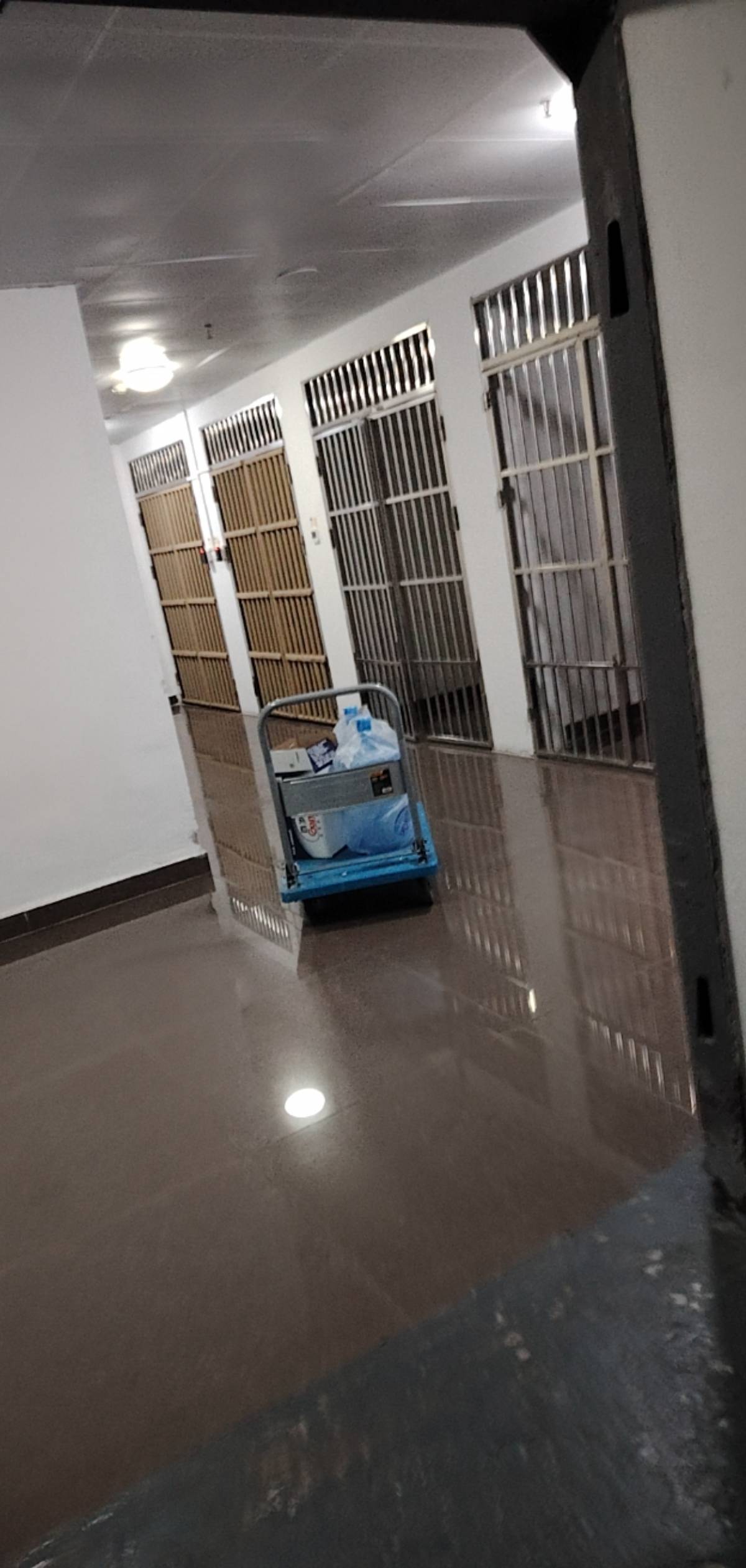 把你们这些挂壁仔全关起来

16 / 作者:是兄弟就来卷我 / 