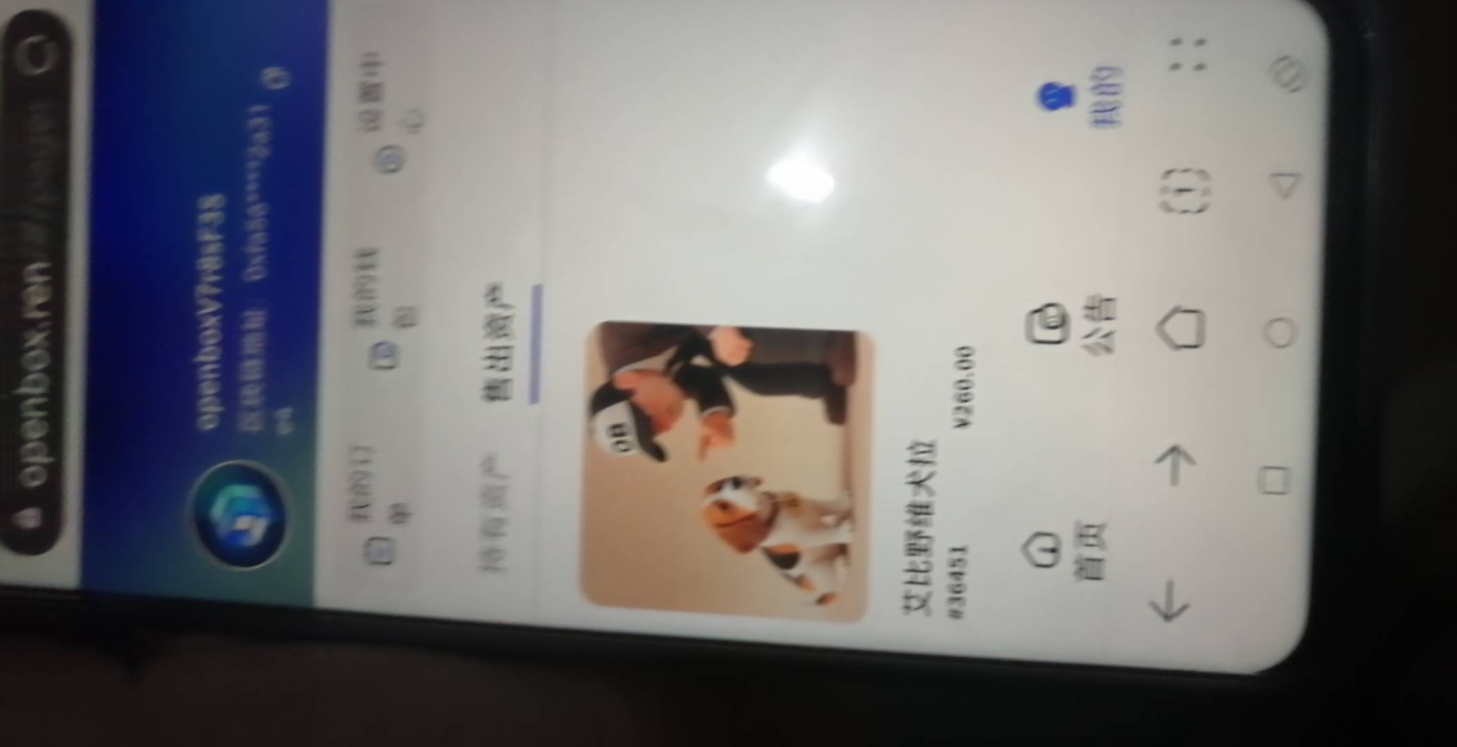 幸好260出了，亏10来手续费

64 / 作者:阑珊火 / 