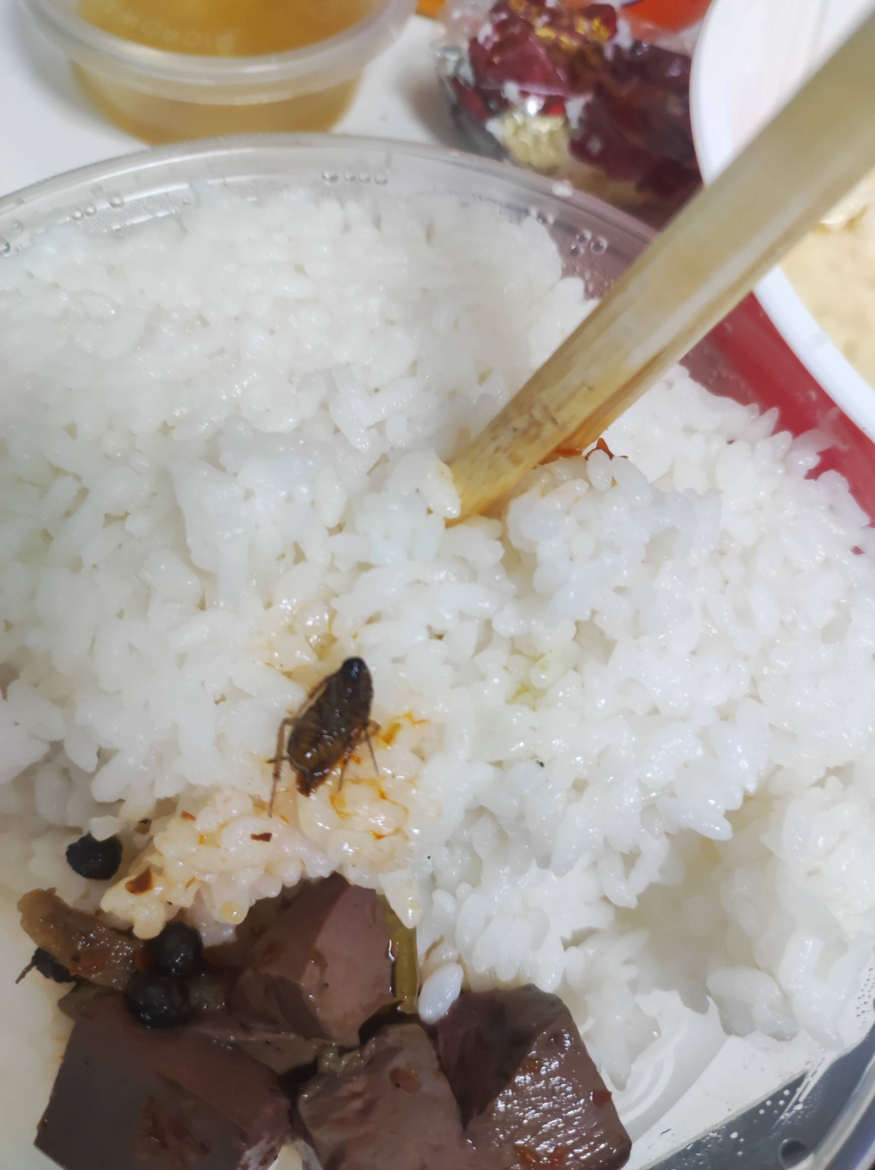 京东是你爹不 我说我京东外卖吃出个蟑螂 你在那就急了


68 / 作者:我们结束了 / 