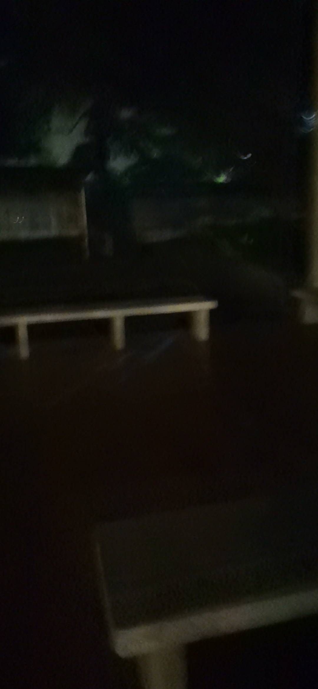 受不了，蚊子好多，

0 / 作者:保安丶丶 / 