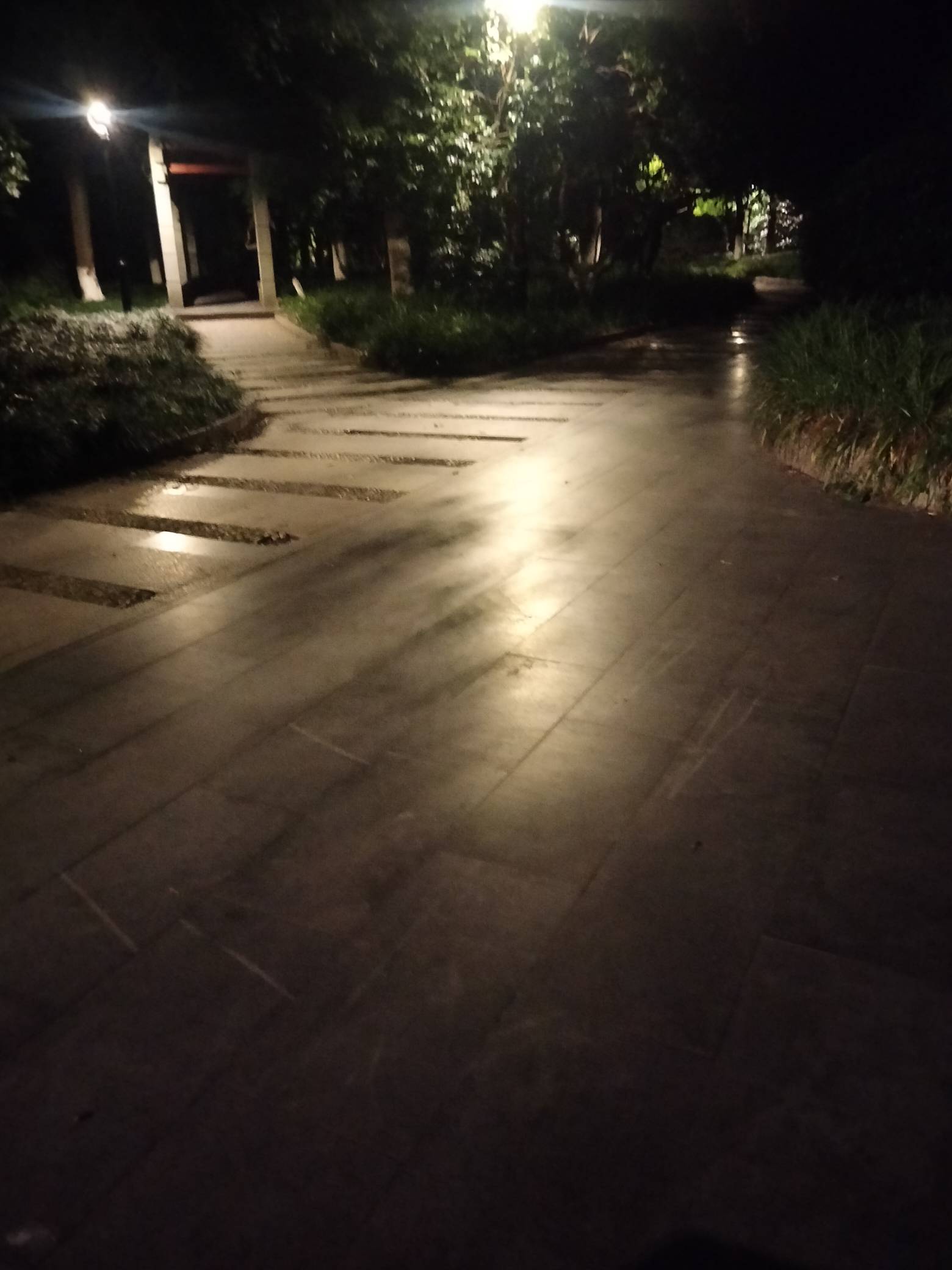 太热了睡不着


11 / 作者:宁波躺平老哥 / 