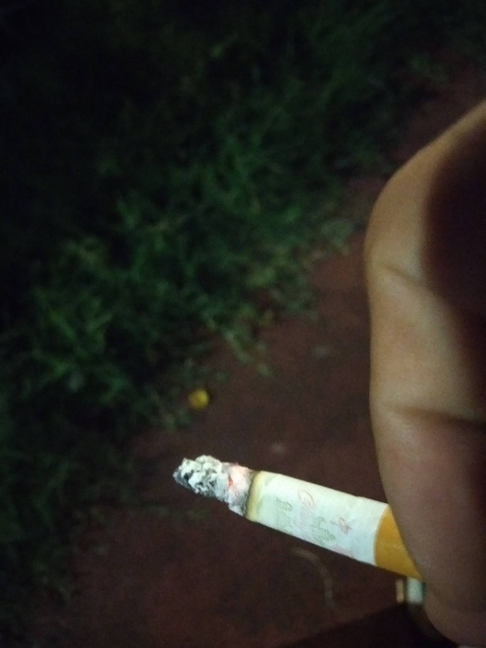晦气，熬了一夜，半条鱼没钓鱼

11 / 作者:尛•牛•氓 / 