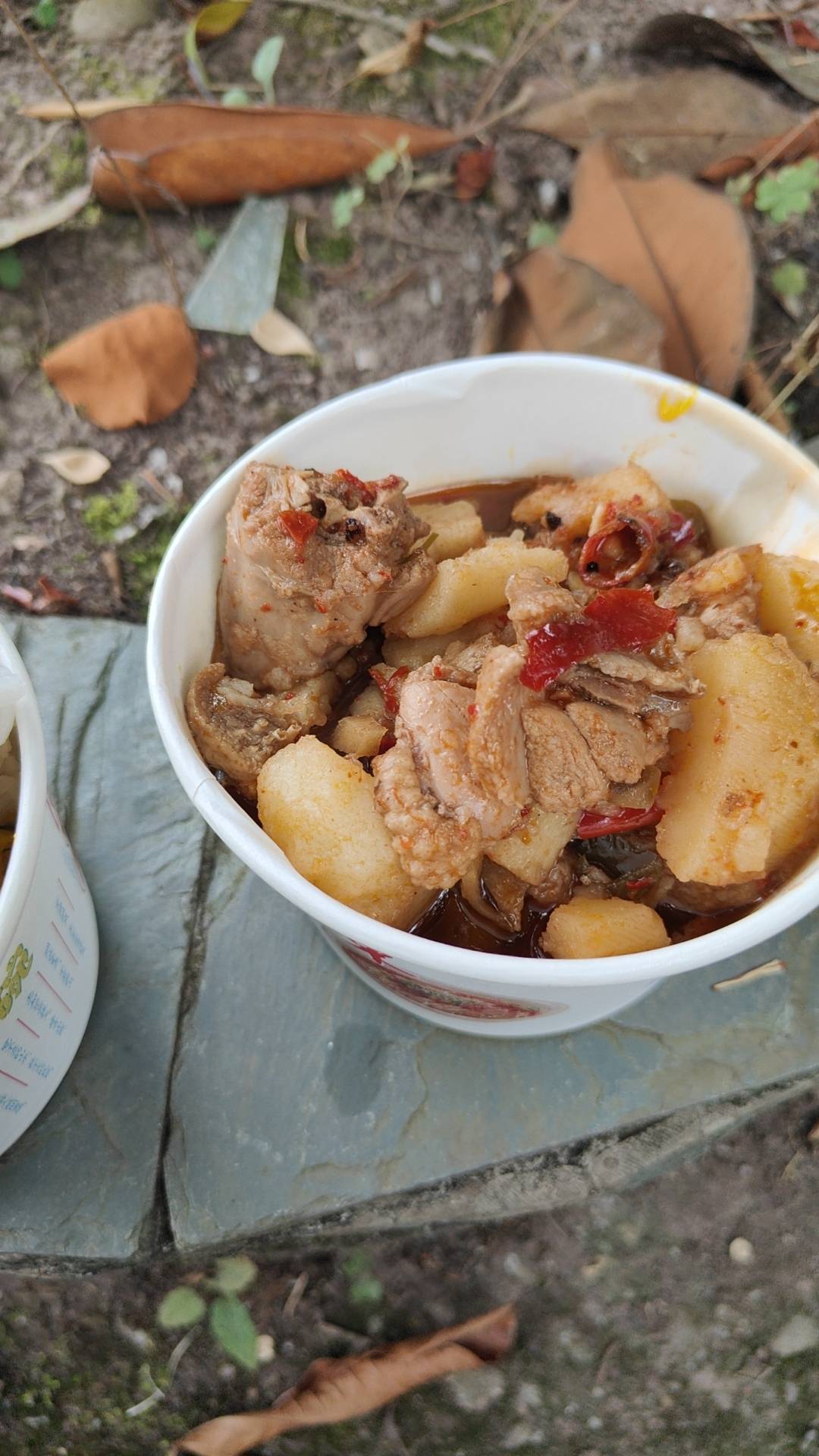 剧组饭菜，四个菜凉粉蓝瓜回锅肉和洋芋烧鸡

92 / 作者:可可托海 / 