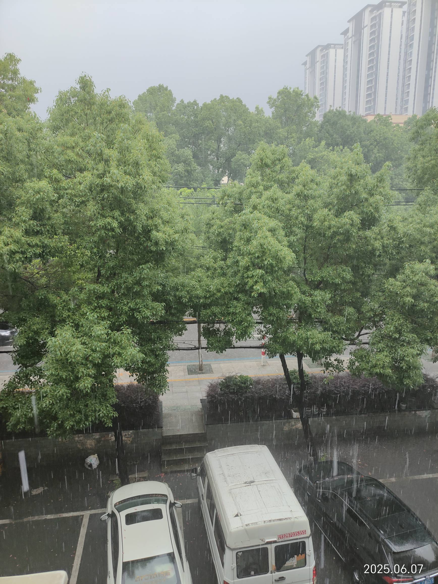 老哥们，大暴雨点外卖合适吗，半天没有人接单啊，16不用又可惜

73 / 作者:小风追云 / 