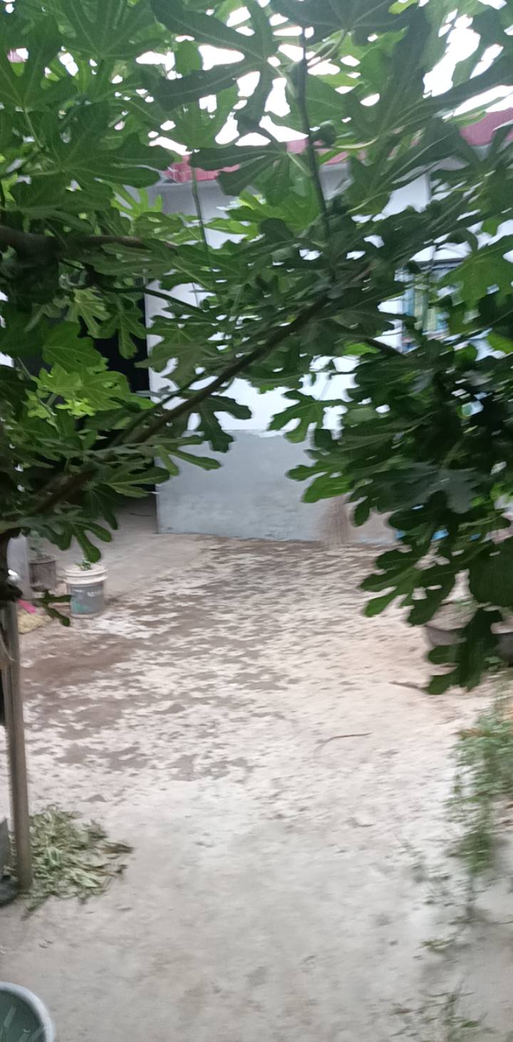 下雨了，真凉爽

90 / 作者:无羊毛111 / 