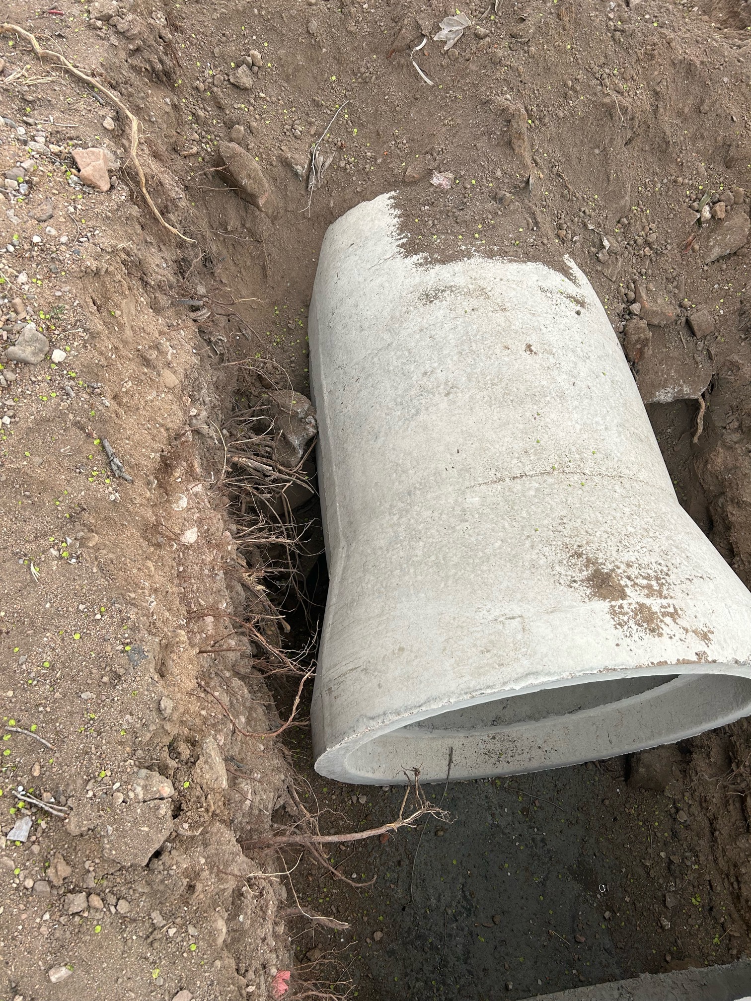 我这应该没问题

66 / 作者:爱意春风起 / 