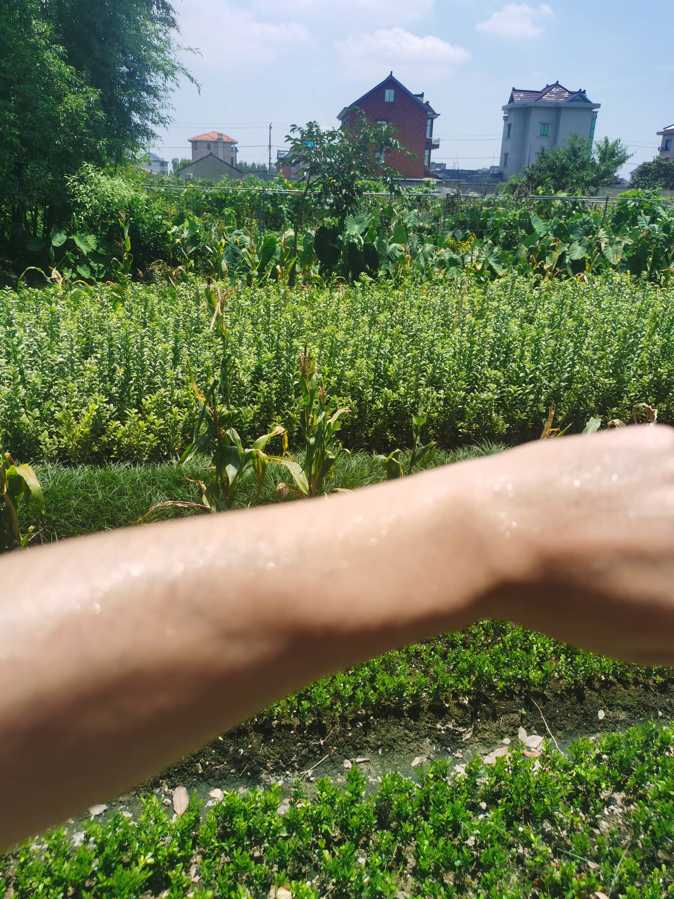 好热啊 没地方去

50 / 作者:不再违规发帖了 / 