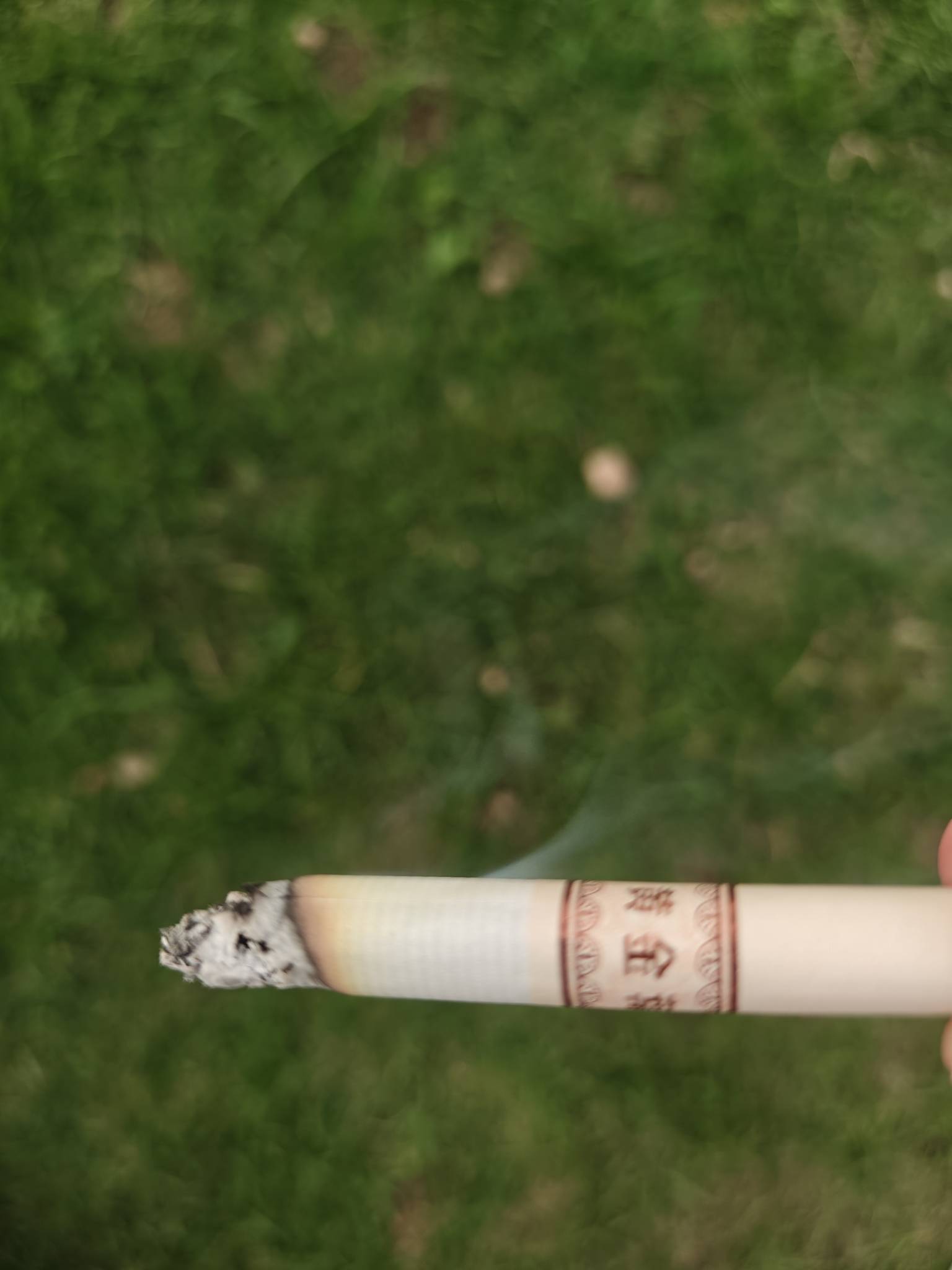 这烟多少钱一包

91 / 作者:天天被骗 / 