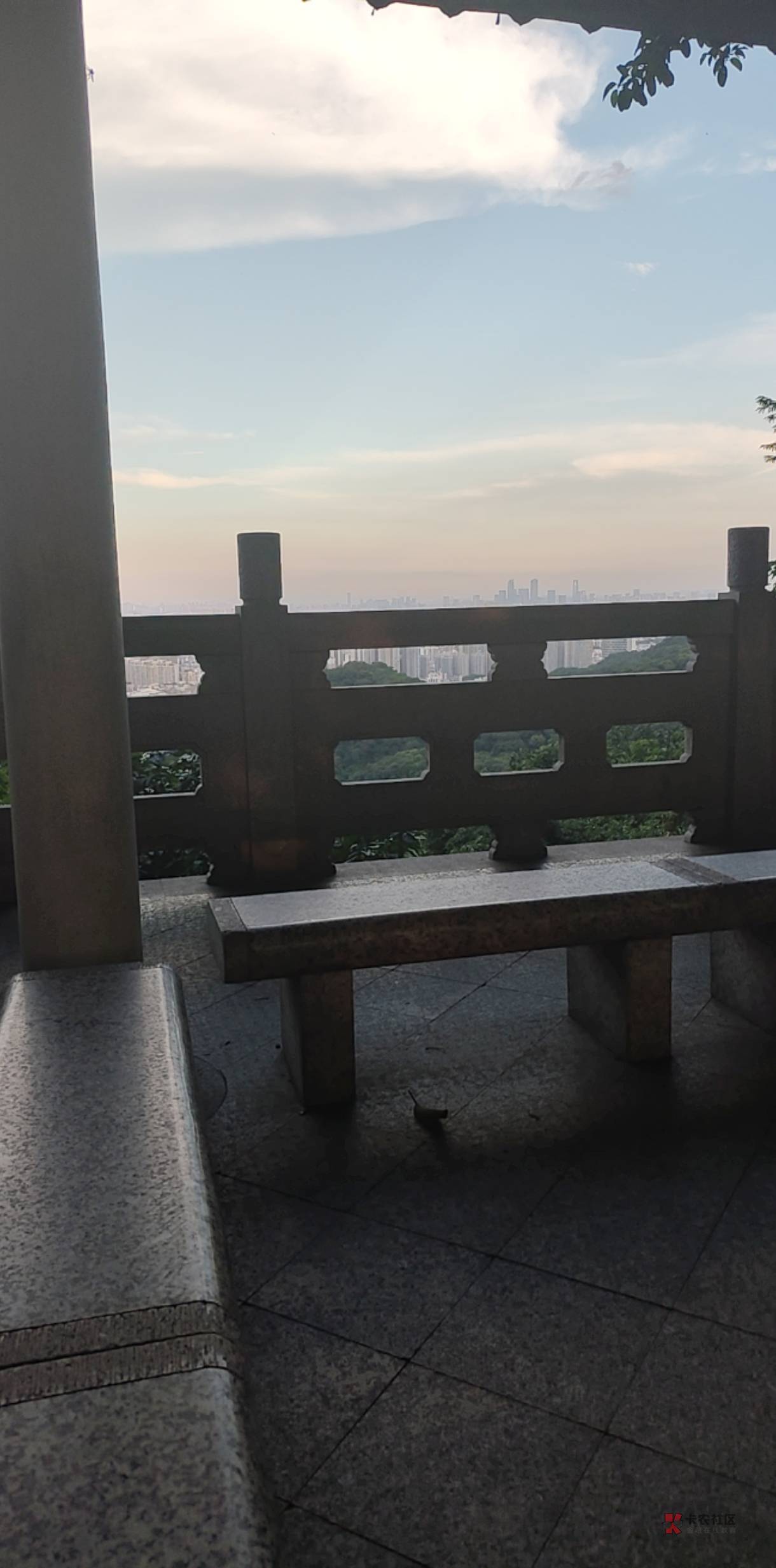 睡公园被赶，睡偏僻马路亭子也被赶

55 / 作者:成都熊熊 / 
