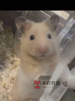 每次很多人在一起的时候，自己都是小透明一个，你们会不会一样，嘴巴又笨不会说话

49 / 作者:天空的时候给我 / 