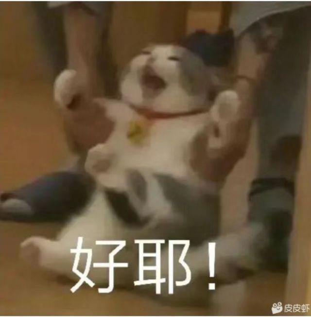 荣华富贵广告加载不了的破解了，网页直接下载的不行，从广告下载的可以看，大爷的

28 / 作者:不予x / 