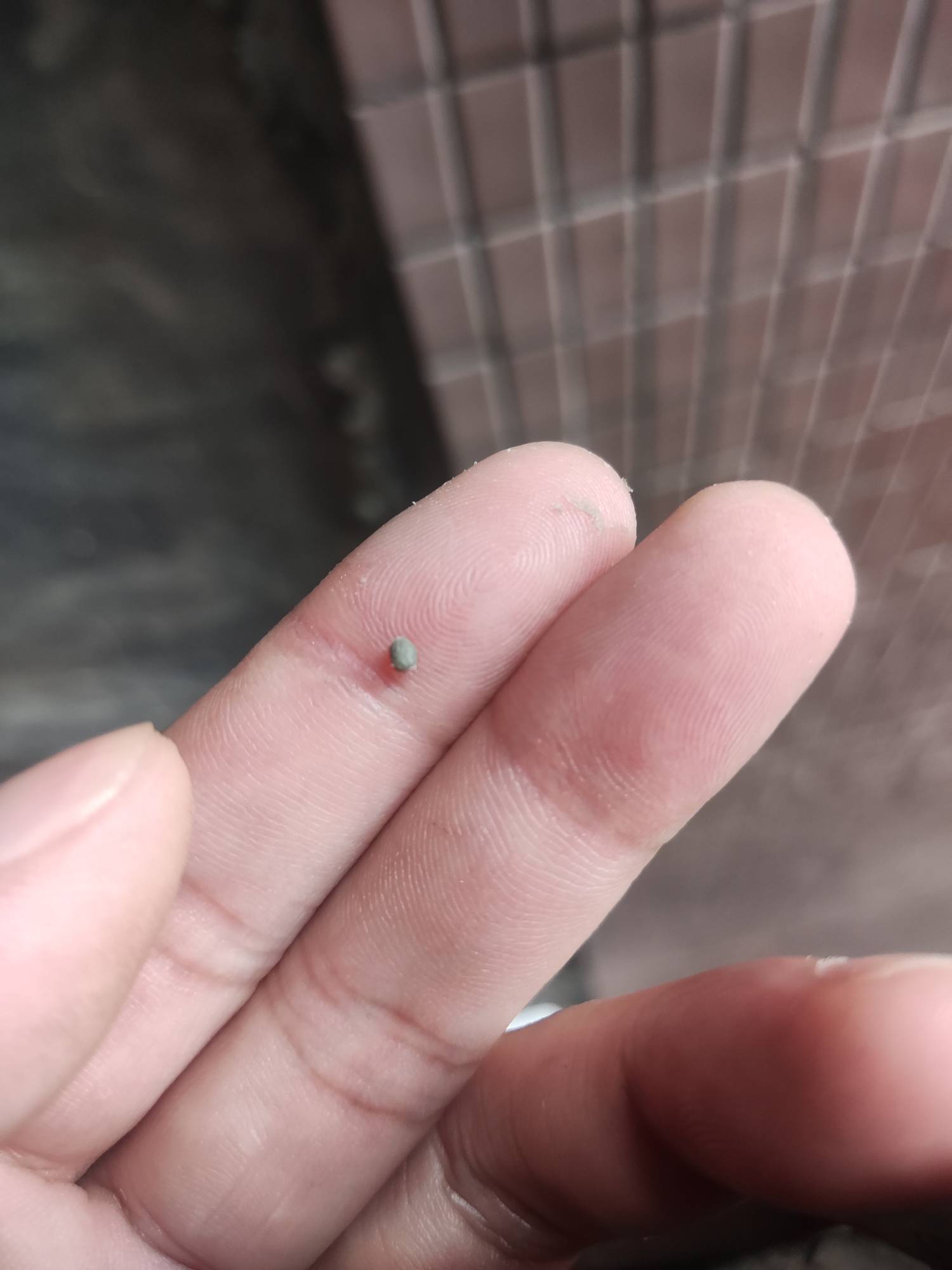 老哥们一到夏天你们身会不会有那种像水泥灰一样的东西啊，用手指在身上用力磨就磨好多2 / 作者:一条颓废咸鱼 / 