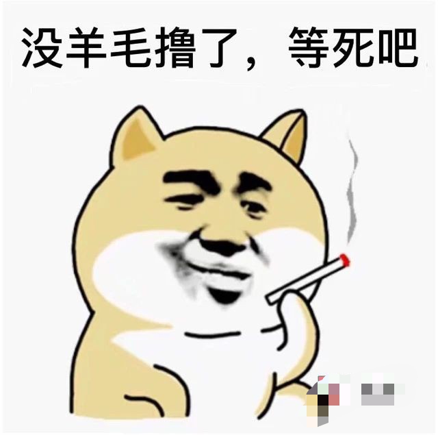 @卡农菲菲 

改名——老鼠哥

27 / 作者:金龙虾 / 