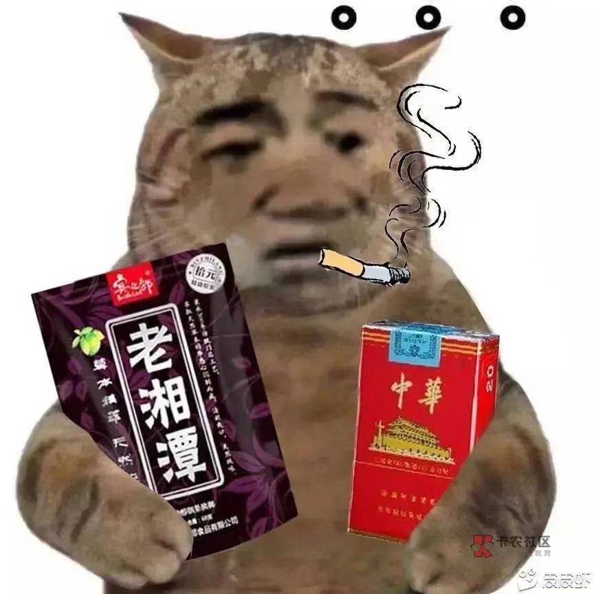 老哥们，一块钱点了个标价39的外卖，老板往里拉屎了现在咋办

41 / 作者:不予x / 