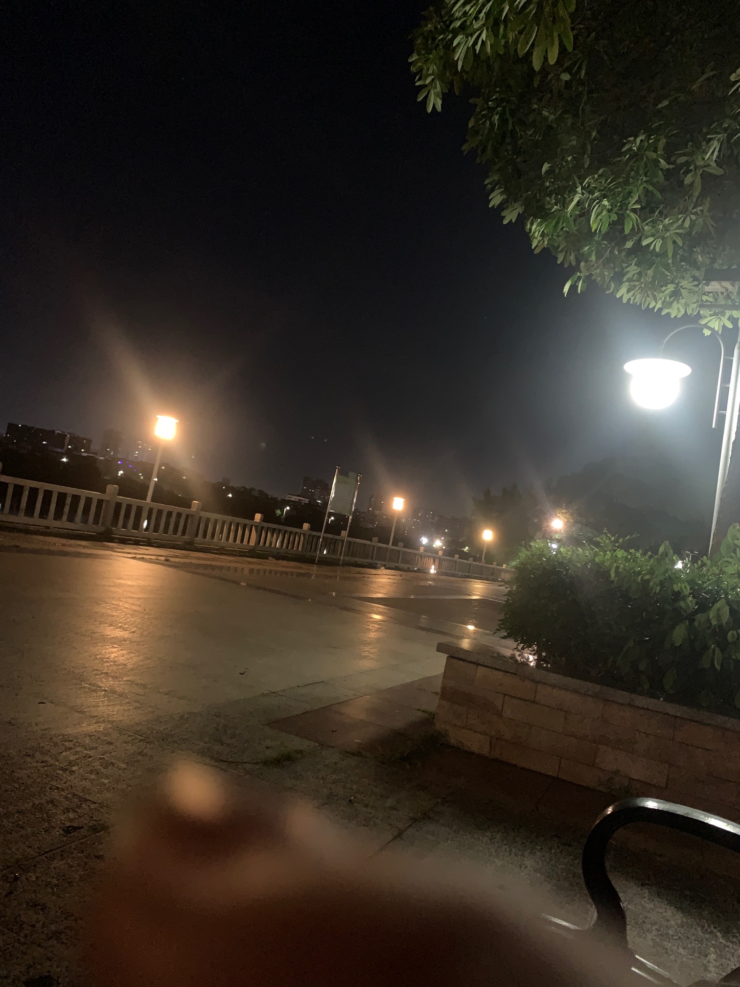 挂壁公园了

3 / 作者:落叶随风i / 