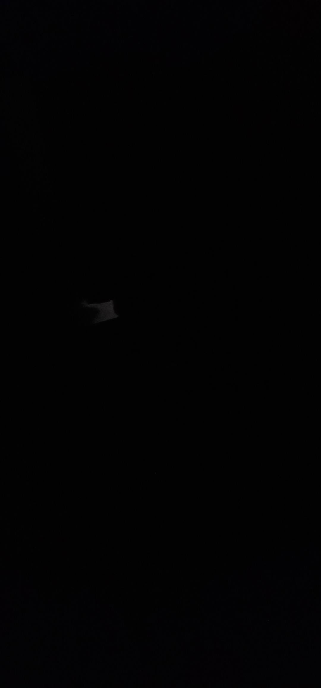 桥洞睡一晚，打个卡证明我还活着

31 / 作者:时间去哪里了 / 