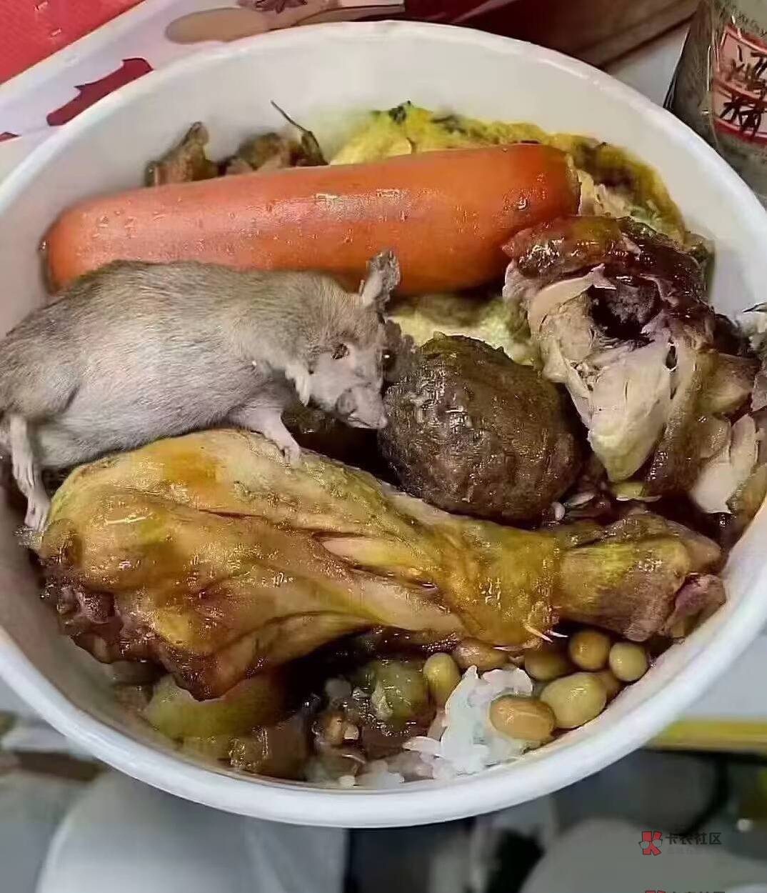 这个你们肯定吃不起

58 / 作者:活捉IU / 