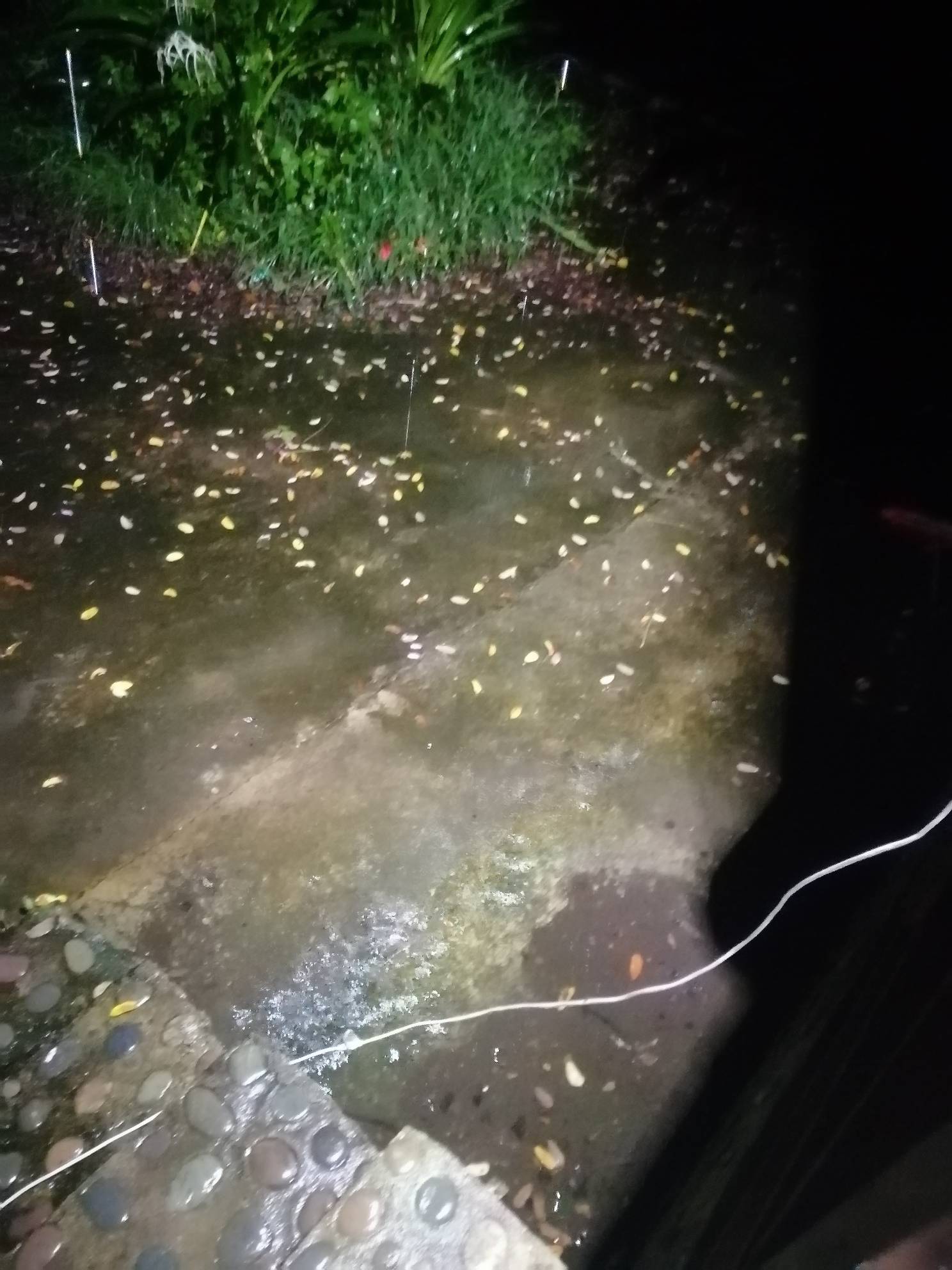 塔马天天冷死人，下了60天雨，外套秋裤赶紧穿起来！难搞


94 / 作者:卡农新来的 / 