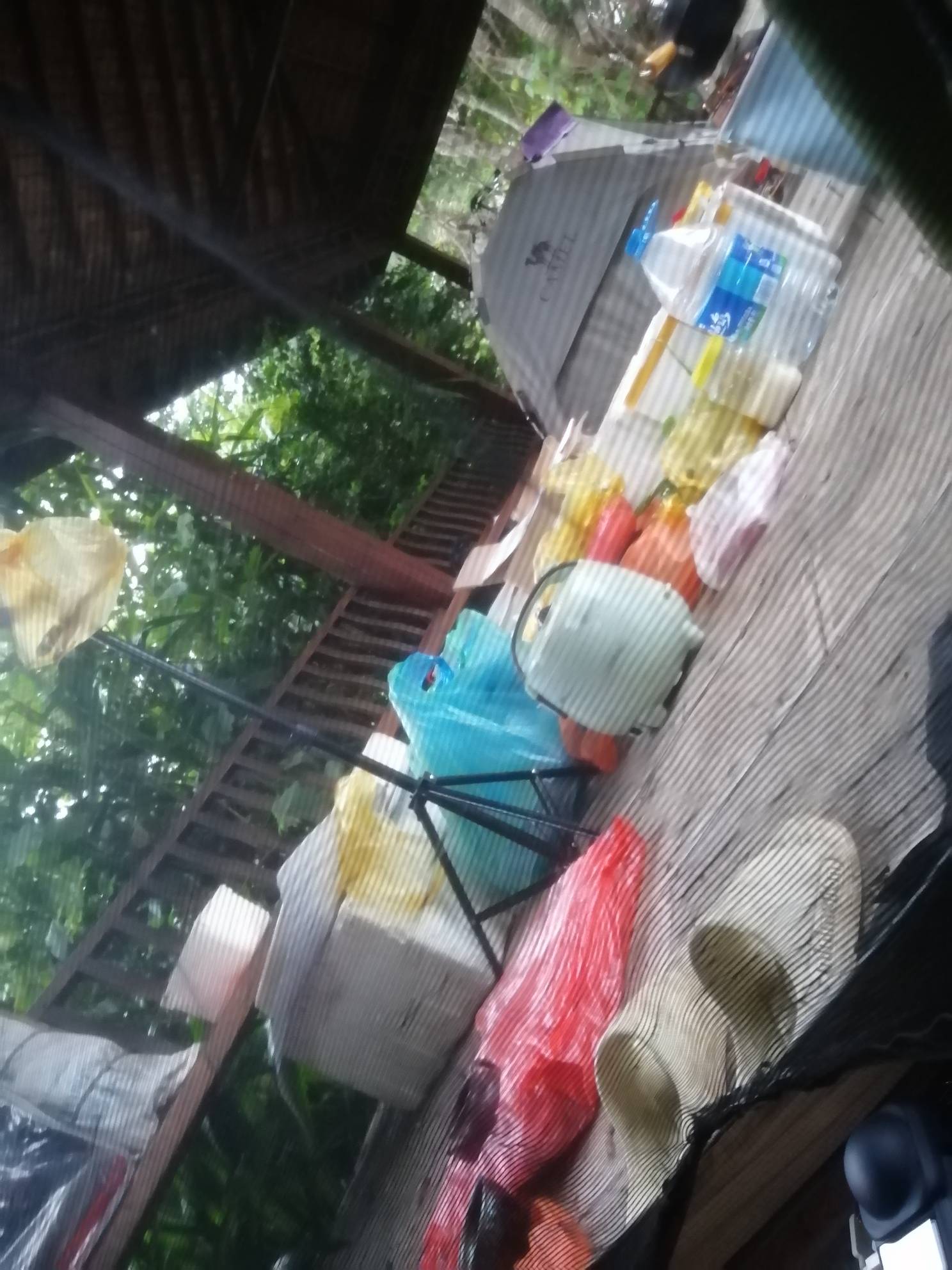 好冷好冷！15度，羽绒睡袋盖起来！继续睡懒觉


8 / 作者:卡农新来的 / 