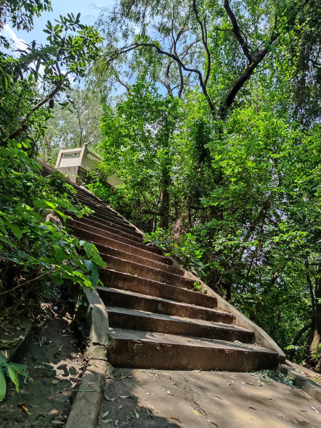 来长安将军山避暑啊有没有过来的



22 / 作者:梦回大唐做王爷 / 