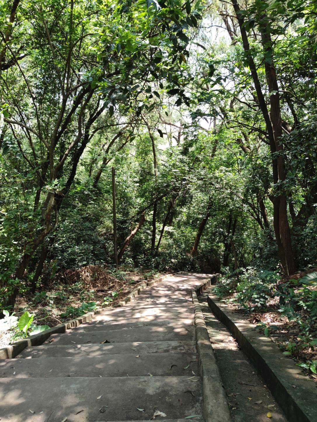 来长安将军山避暑啊有没有过来的



0 / 作者:梦回大唐做王爷 / 