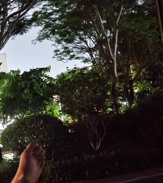 被蚊子折磨醒了 迷迷糊糊睡了三个多小时 中间好像还刮了一会儿大风 这会儿又开始冒汗91 / 作者:赫赫赫连 / 