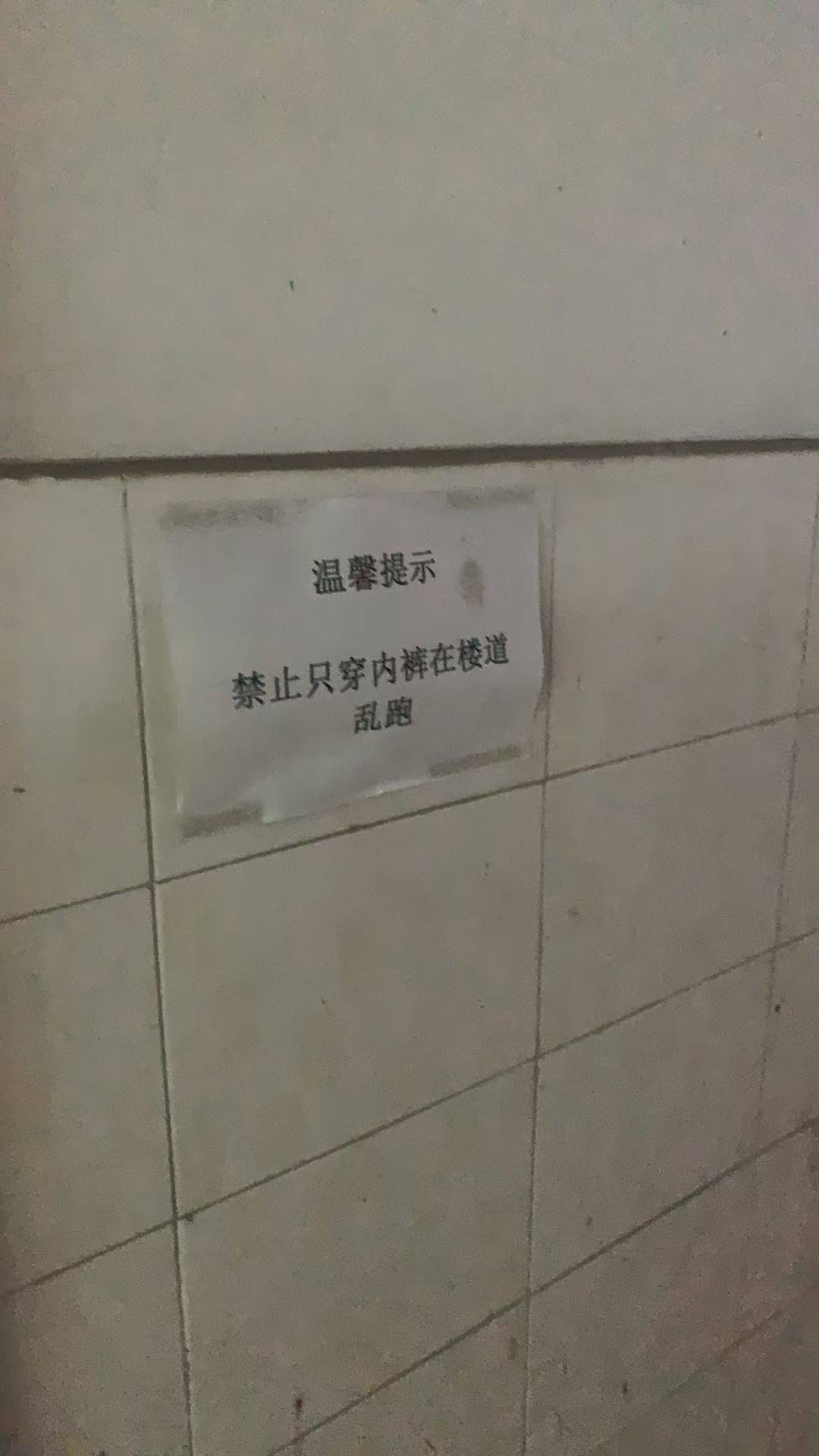卡农的老哥吗

72 / 作者:挂比了救我鸭 / 
