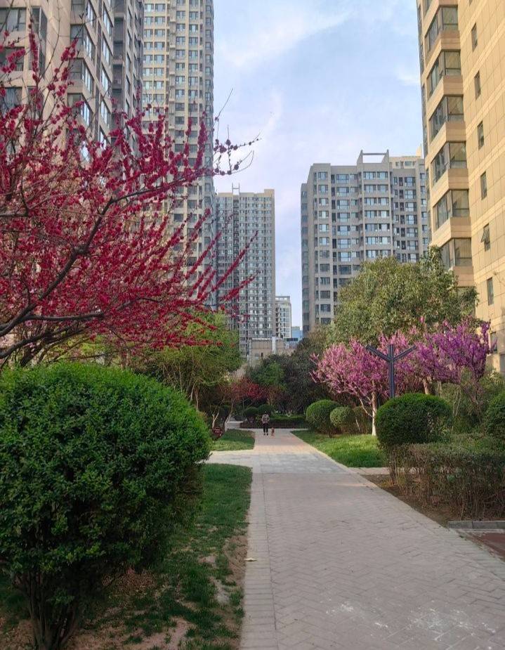 贝壳能不能赶紧黄吧，我刚全部给我拒绝了说我水印，我水他奶奶个腿。看见你们挣钱一直54 / 作者:墨镜探长 / 