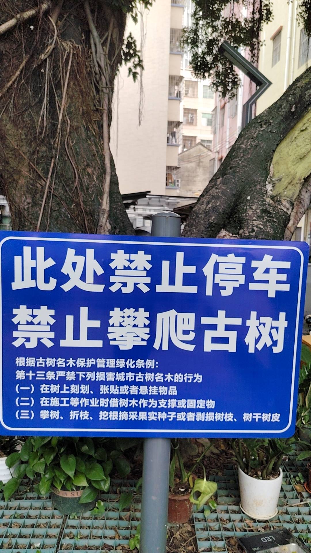 那个地区好过一点
97 / 作者:实则天 / 
