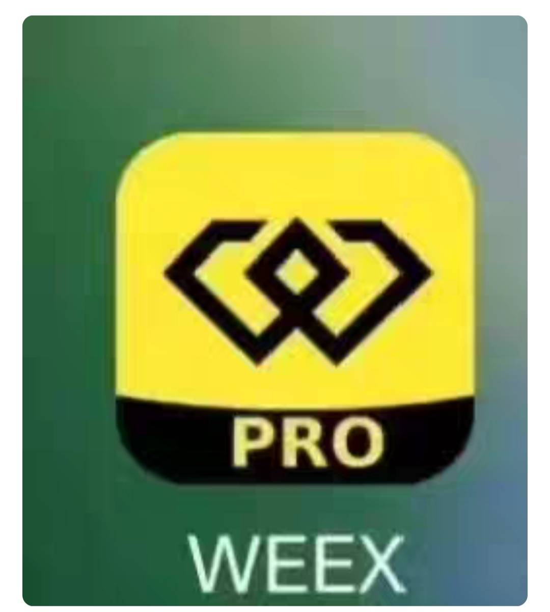 老哥，做WEEX要不要本金啊！我看某鱼好多人在收

28 / 作者:小小鸟@ / 