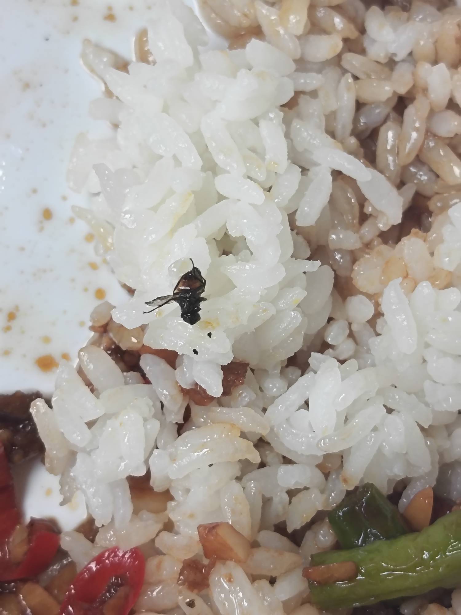 美图案点了个外卖，快吃完了菜里面发现一只苍蝇，恶心坏了，该怎么申请理赔，都想去洗78 / 作者:老哥撸老哥ab / 